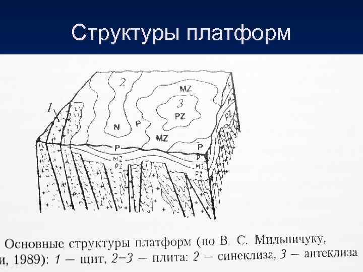 Структуры платформ 