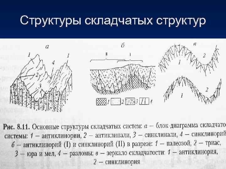 Структурные элементы коры