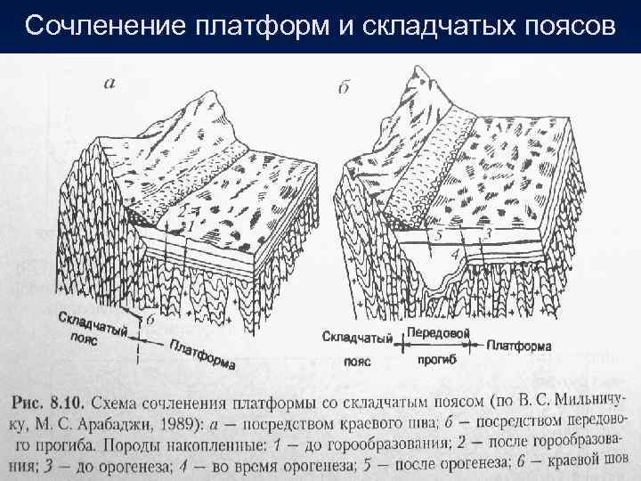 Сочленение платформ и складчатых поясов 