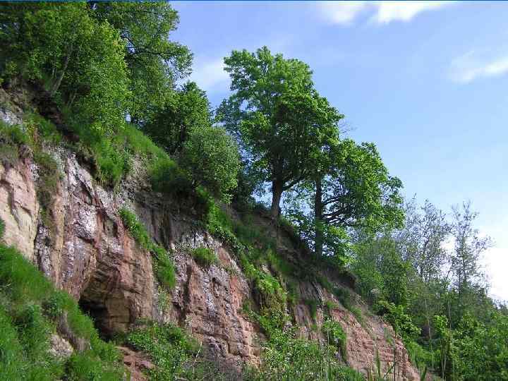 Геологические памятники природы. Чекарда Пермский край. Разрез Чекарда. Деревня Чекарда Суксунский район Пермский край. Геологические памятники Татарстана.