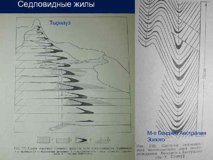 Седловидные жилы Тырнауз М-е Бендиго Австралия Золото • • М-е Бендиго Австралия Золото 