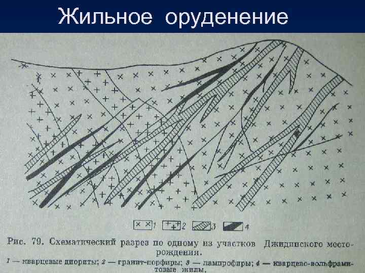 Жильное оруденение 