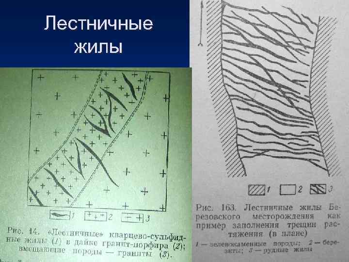 Лестничные жилы 