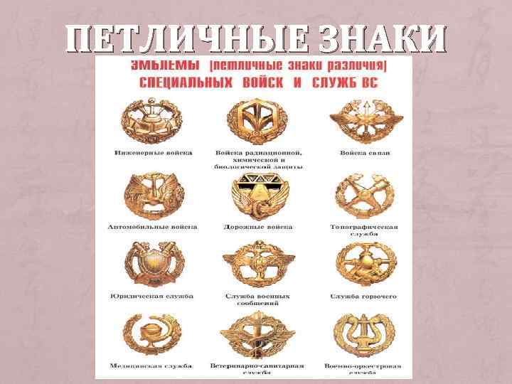 ПЕТЛИЧНЫЕ ЗНАКИ 