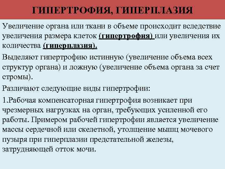 ГИПЕРТРОФИЯ, ГИПЕРПЛАЗИЯ Увеличение органа или ткани в объеме происходит вследствие увеличения размера клеток (гипертрофия)