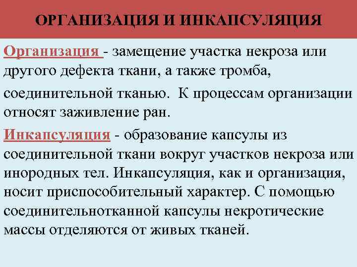 ОРГАНИЗАЦИЯ И ИНКАПСУЛЯЦИЯ Организация - замещение участка некроза или другого дефекта ткани, а также