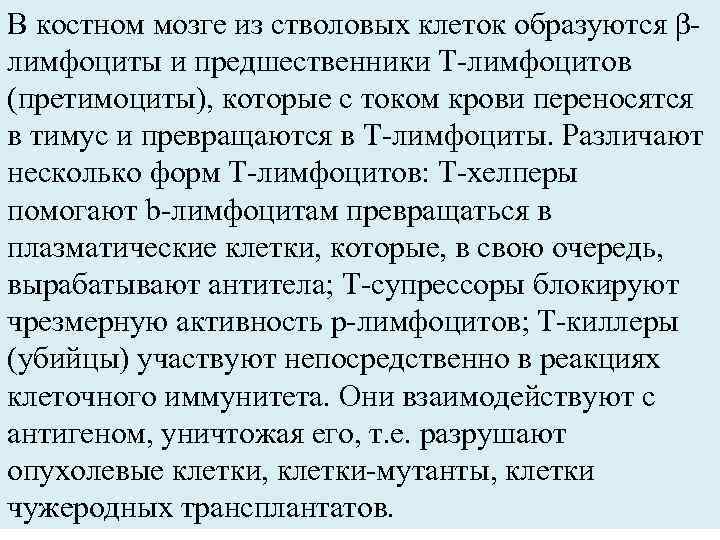 В костном мозге из стволовых клеток образуются βлимфоциты и предшественники Т-лимфоцитов (претимоциты), которые с