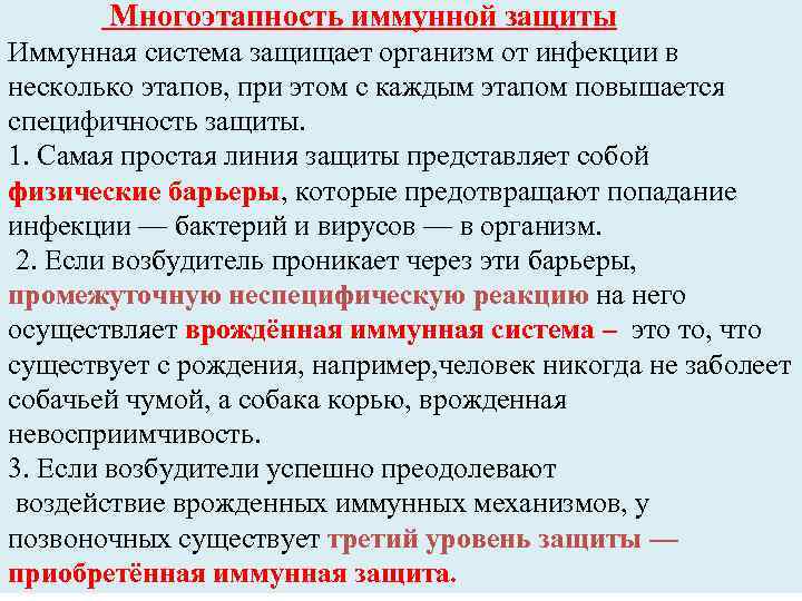 Многоэтапность иммунной защиты Иммунная система защищает организм от инфекции в несколько этапов, при этом