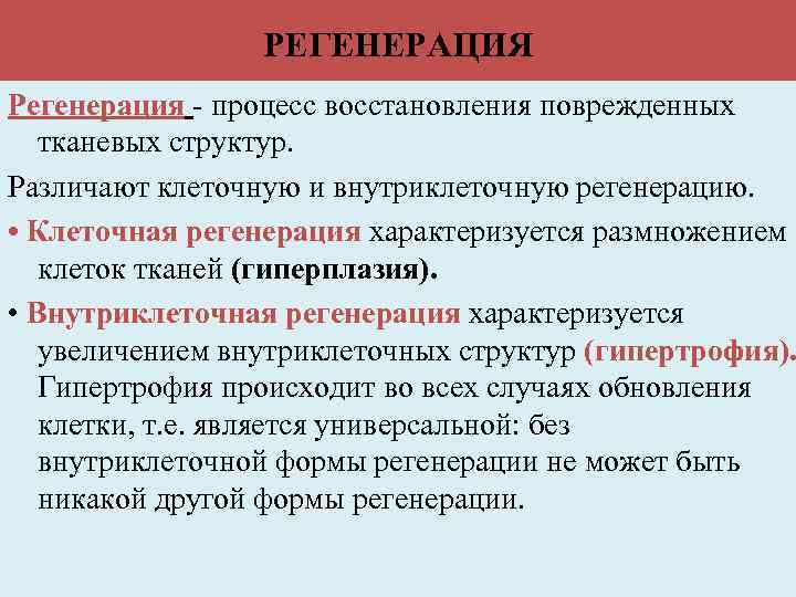 РЕГЕНЕРАЦИЯ Регенерация - процесс восстановления поврежденных тканевых структур. Различают клеточную и внутриклеточную регенерацию. •