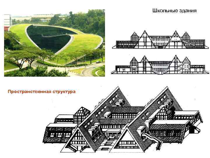 Школьные здания Пространственная структура 