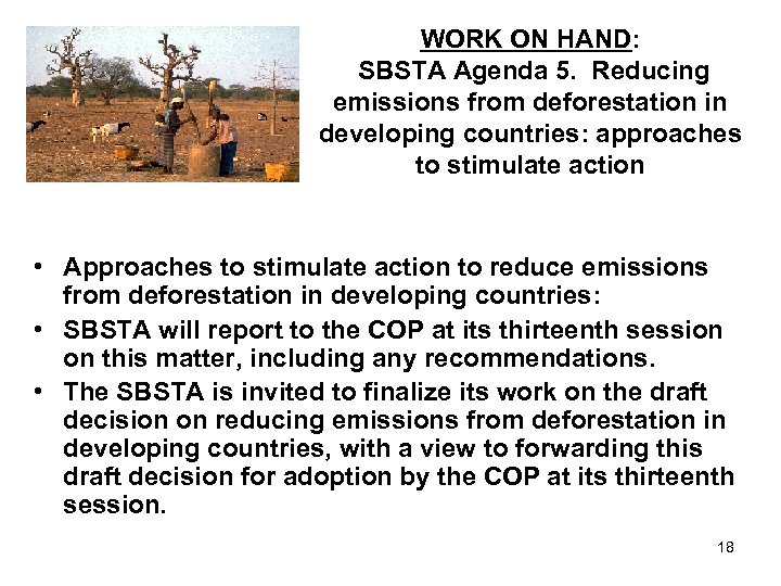 WORK ON HAND: SBSTA Agenda 5. Reducing emissions from deforestation in developing countries: approaches