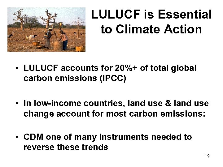 LULUCF is Essential to Climate Action • LULUCF accounts for 20%+ of total global