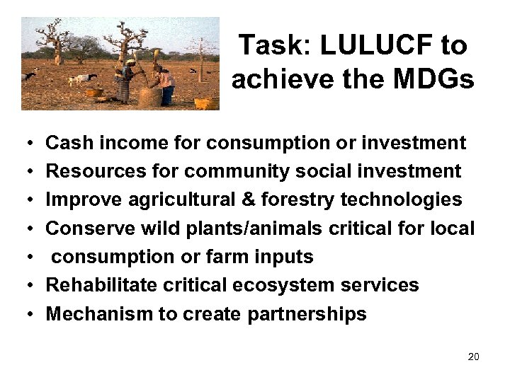 Task: LULUCF to achieve the MDGs • • Cash income for consumption or investment