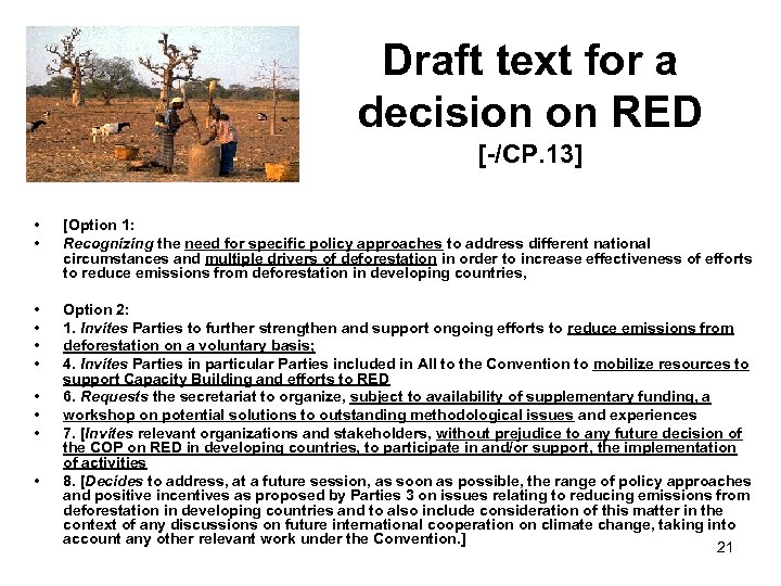 Draft text for a decision on RED [-/CP. 13] • • [Option 1: Recognizing