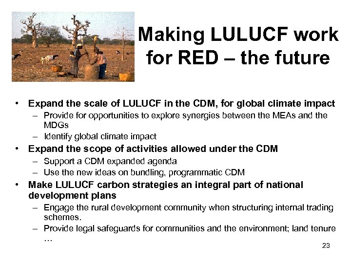 Making LULUCF work for RED – the future • Expand the scale of LULUCF