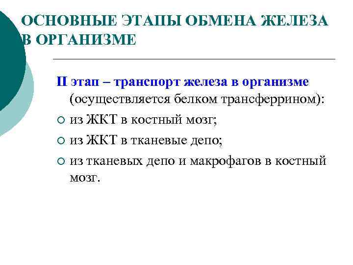 ОСНОВНЫЕ ЭТАПЫ ОБМЕНА ЖЕЛЕЗА В ОРГАНИЗМЕ II этап – транспорт железа в организме (осуществляется