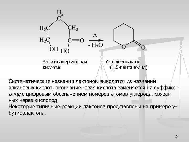 δ-оксивалерьяновая кислота δ-валеролактон (1, 5 -пентанолид) Систематические названия лактонов выводятся из названий алкановых кислот,