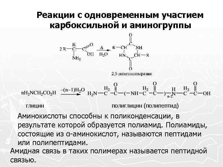 Напишите реакцию глицина. Глицин полипептид поликонденсации. Реакция поликонденсации аминокислот пример. Глицин полипептид реакция поликонденсации. Полипептид глицина формула.
