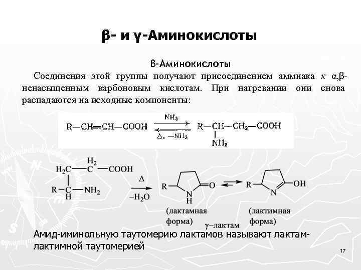 β- и γ-Аминокислоты β-Аминокислоты Соединения этой группы получают присоединением аммиака к α, βненасыщенным карбоновым