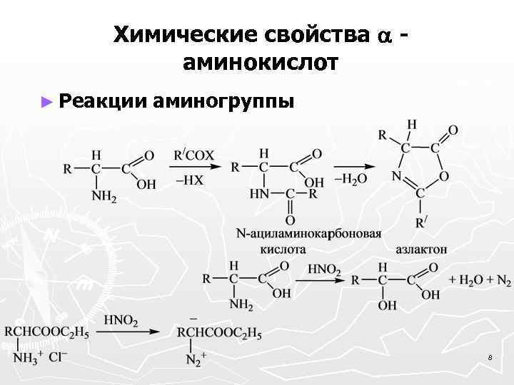 Химические свойства аминокислот ► Реакции аминогруппы 8 