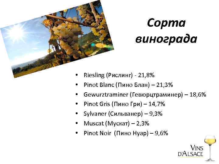 Сорта винограда • • Riesling (Рислинг) - 21, 8% Pinot Blanc (Пино Блан) –