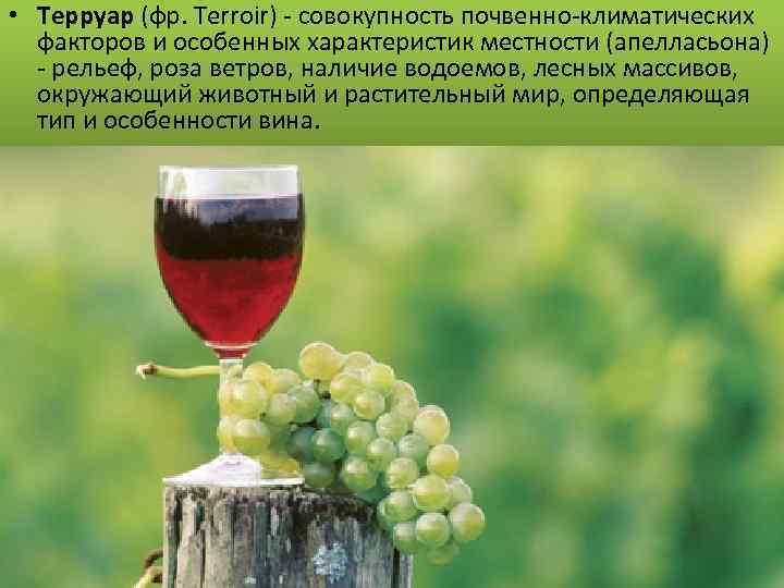  • Терруар (фр. Terroir) - совокупность почвенно-климатических факторов и особенных характеристик местности (апелласьона)