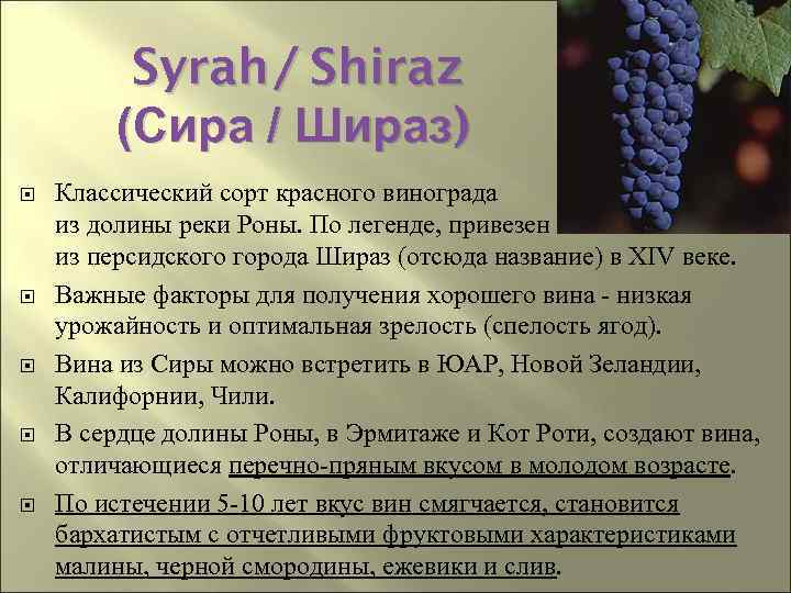 Syrah / Shiraz (Сира / Шираз) Классический сорт красного винограда из долины реки Роны.