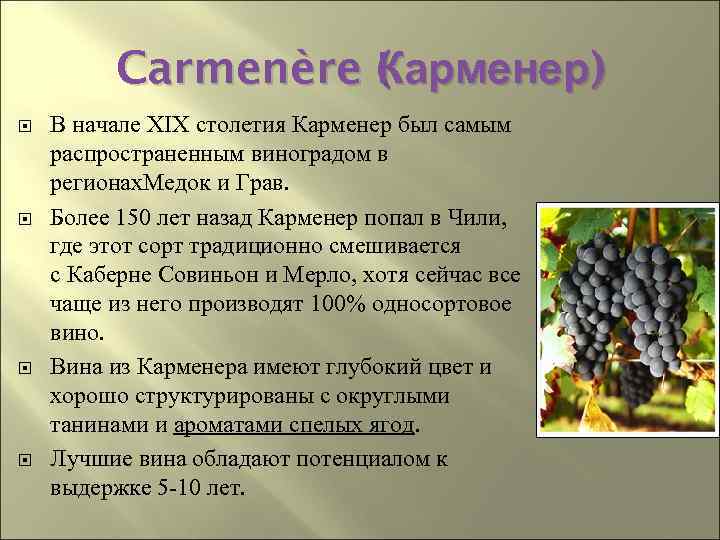 Carmenère ( арменер) Карменер К В начале XIX столетия Карменер был самым распространенным виноградом