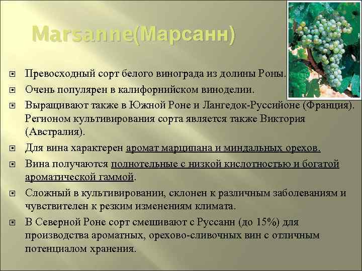 Marsanne (Марсанн) Превосходный сорт белого винограда из долины Роны. Очень популярен в калифорнийском виноделии.