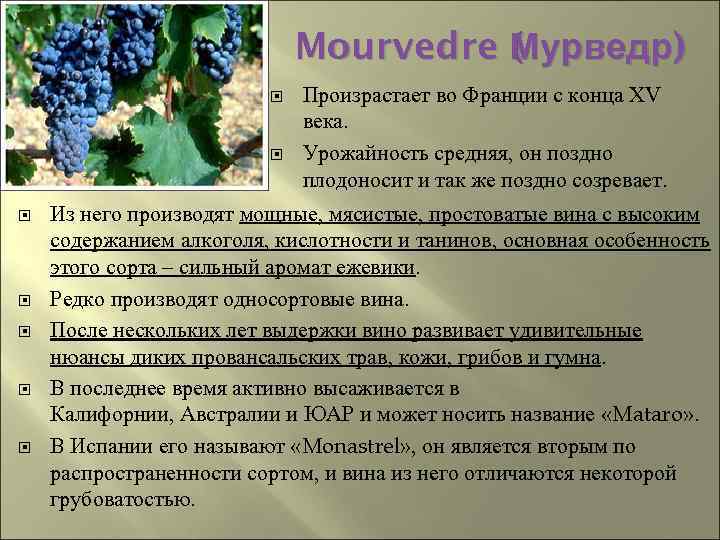 Mourvedre Мурведр) ( урведр М Произрастает во Франции с конца XV века. Урожайность средняя,