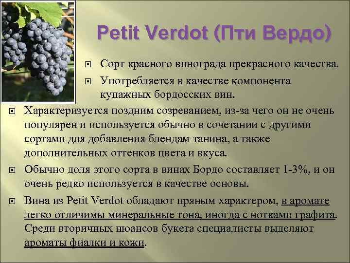 Petit Verdot (Пти Вердо) Сорт красного винограда прекрасного качества. Употребляется в качестве компонента купажных