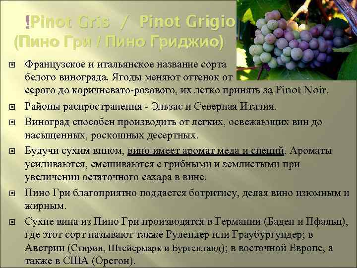  Pinot Gris / Pinot Grigio (Пино Гри / Пино Гриджио) Французское и итальянское