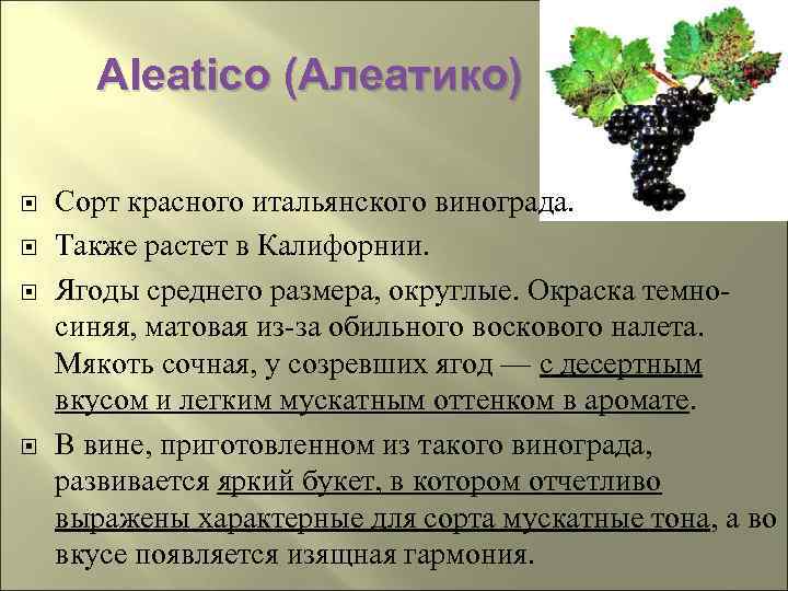 Aleatico (Алеатико) Сорт красного итальянского винограда. Также растет в Калифорнии. Ягоды среднего размера, округлые.