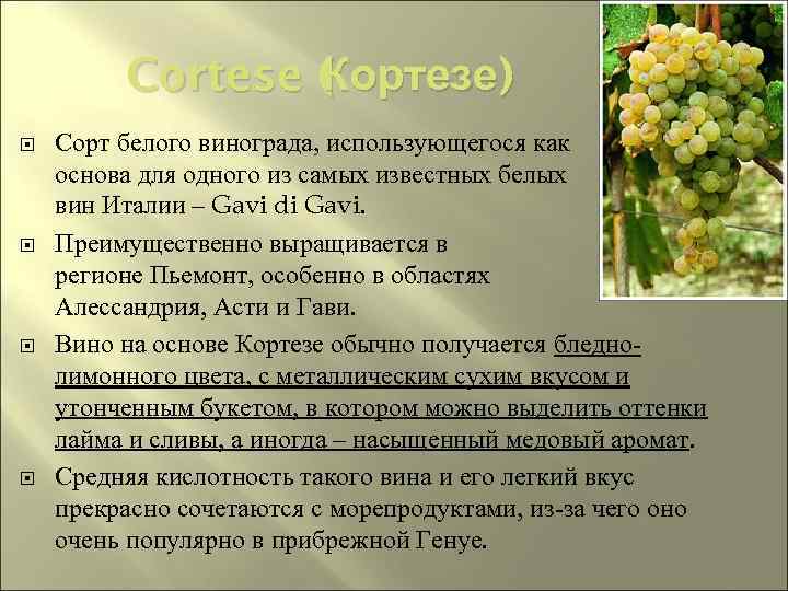 Cortese ( Кортезе) Сорт белого винограда, использующегося как основа для одного из самых известных