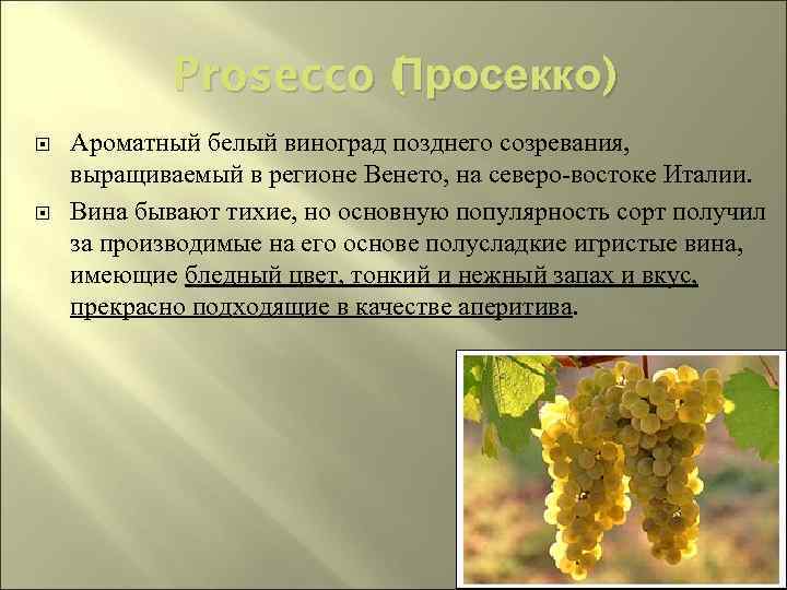 Prosecco ( росекко) Просекко П Ароматный белый виноград позднего созревания, выращиваемый в регионе Венето,