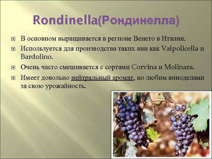 Rondinella(Рондинелла) В основном выращивается в регионе Венето в Италии. Используется для производства таких вин