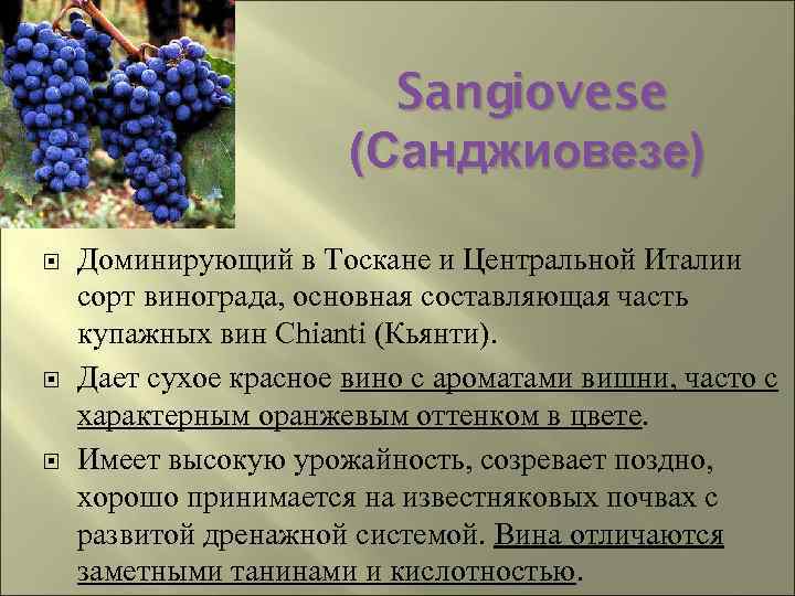 Sangiovese (Санджиовезе) Доминирующий в Тоскане и Центральной Италии сорт винограда, основная составляющая часть купажных