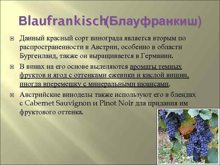 Вlaufrankisch (Блауфранкиш) Данный красный сорт винограда является вторым по распространенности в Австрии, особенно в