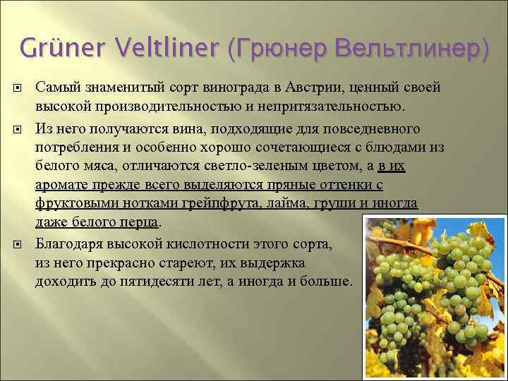 Grüner Veltliner (Грюнер Вельтлинер) Самый знаменитый сорт винограда в Австрии, ценный своей высокой производительностью