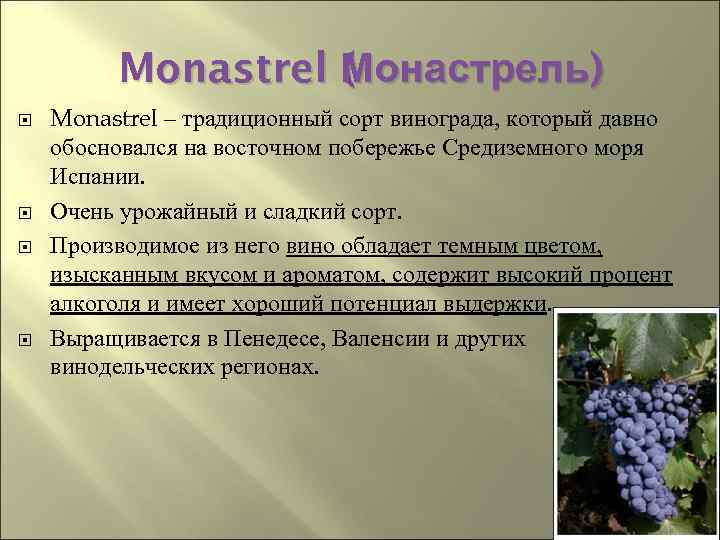 Monastrel Монастрель) ( онастрель М Monastrel – традиционный сорт винограда, который давно обосновался на