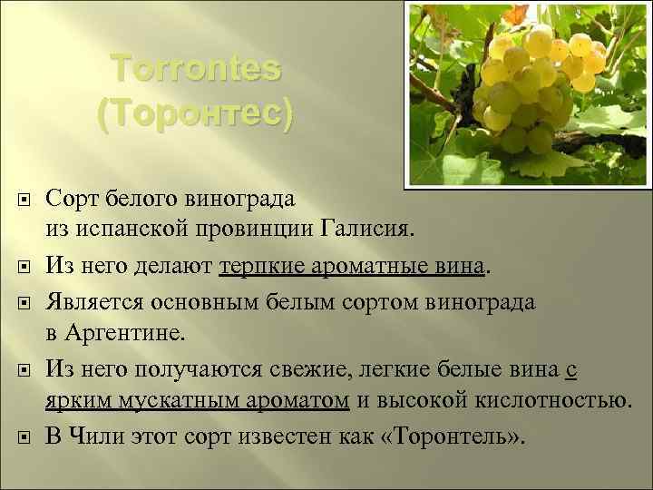 Torrontes (Торонтес) Сорт белого винограда из испанской провинции Галисия. Из него делают терпкие ароматные