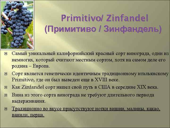 Какой сорт винограда является визитной карточкой чили