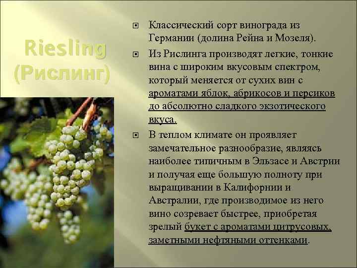  Riesling (Рислинг) Классический сорт винограда из Германии (долина Рейна и Мозеля). Из Рислинга