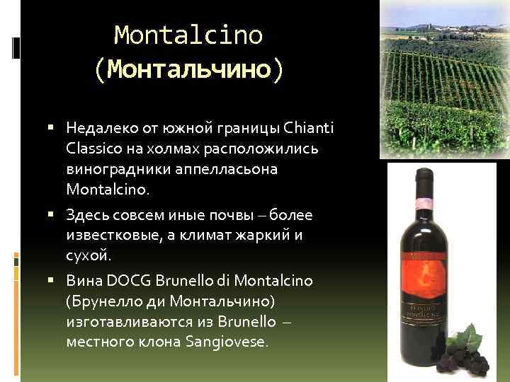 Montalcino (Монтальчино) Недалеко от южной границы Chianti Classico на холмах расположились виноградники аппелласьона Montalcino.