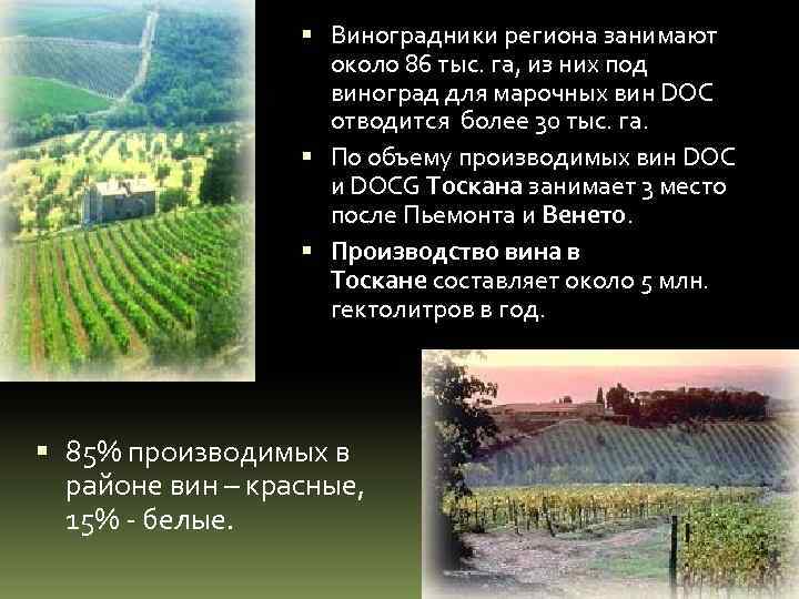  Виноградники региона занимают около 86 тыс. га, из них под виноград для марочных