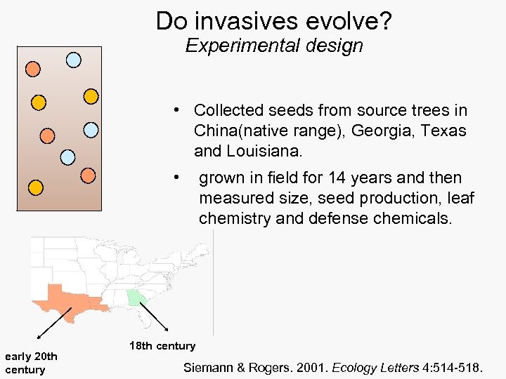 Do invasives evolve? Experimental design • Collected seeds from source trees in China(native range),