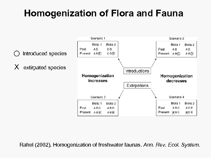 Homogenization of Flora and Fauna Introduced species X extirpated species Rahel (2002), Homogenization of