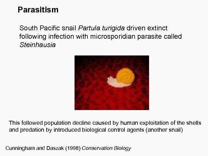 Parasitism South Pacific snail Partula turigida driven extinct following infection with microsporidian parasite called