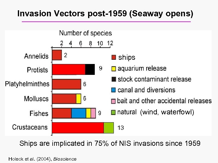 Invasion Vectors post-1959 (Seaway opens) ships 9 (wind, waterfowl) 13 Ships are implicated in