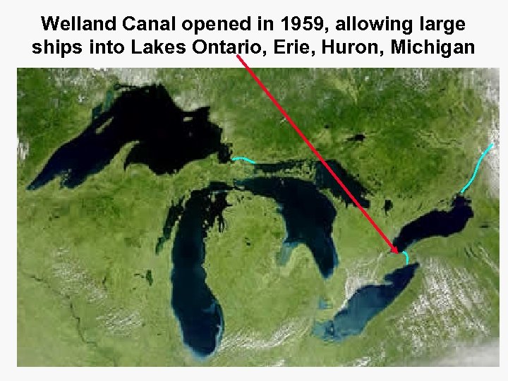 Welland Canal opened in 1959, allowing large ships into Lakes Ontario, Erie, Huron, Michigan